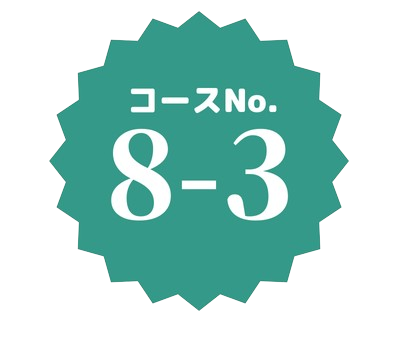 コースNo.8-3