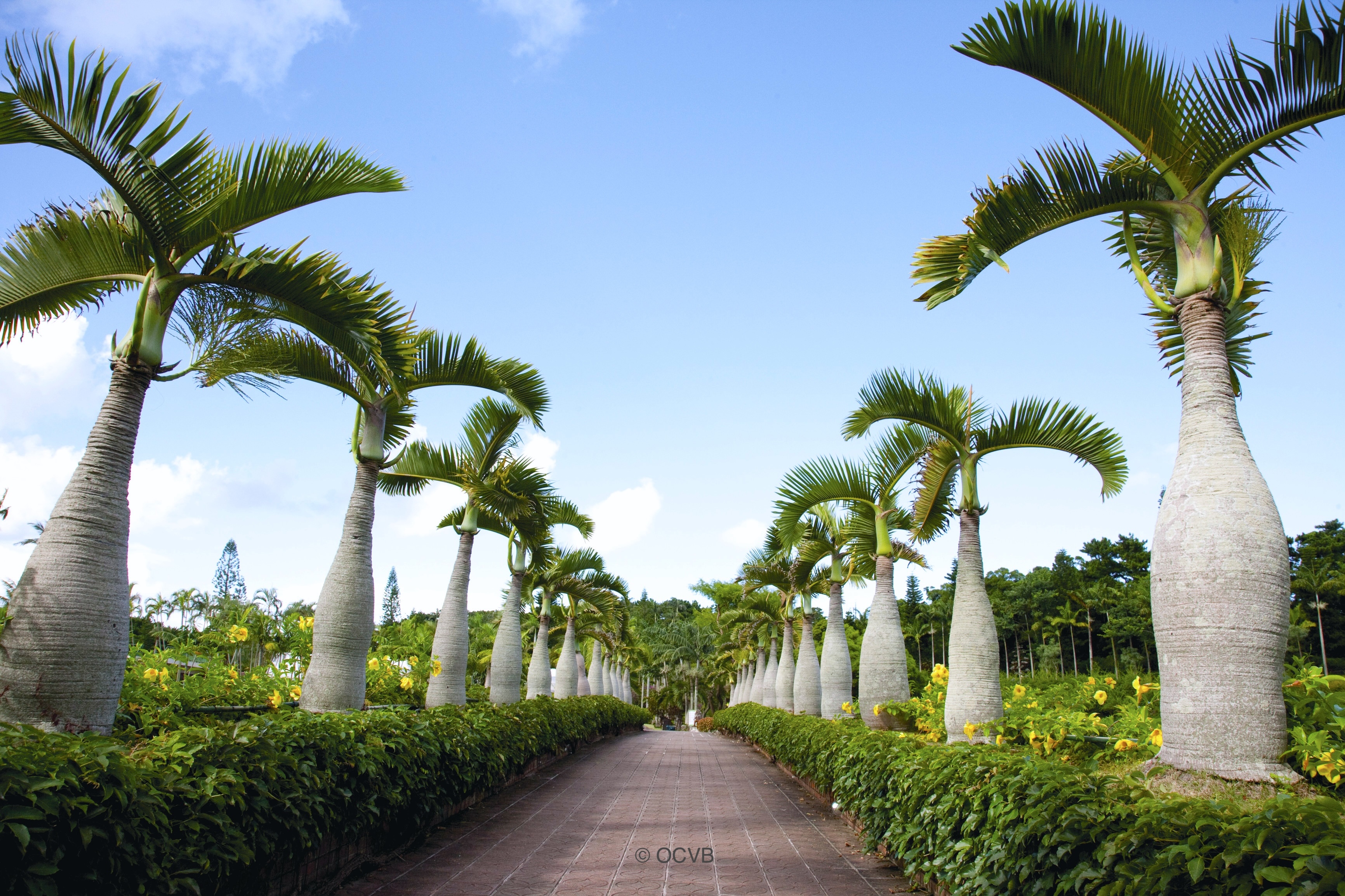 東南植物楽園